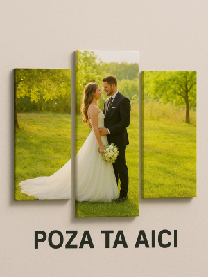 Creaza-ti propriul MultiCanvas