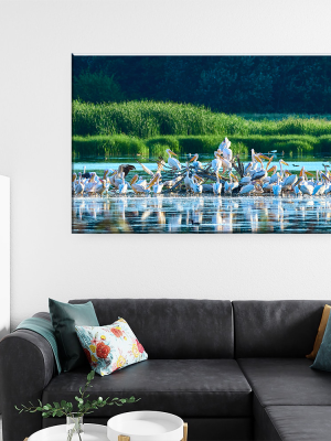 Tablou Canvas - Colonia Pelicanilor – Simfonia Naturii pe Dunare, by Ovidiu Optik Photography