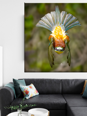 Tablou Canvas - Eleganța Naturii în Zbor – O Captură Spectaculoasă a Grației Păsărilor, by Ovidiu Optik Photography