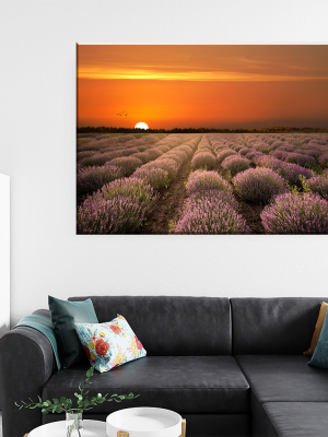 Tablou Canvas - Esenta Calmului – Magia Lavandei la Apus, by Ovidiu Optik Photography