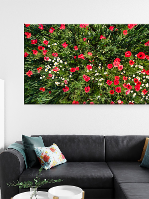 Tablou Canvas - Explozie de Culoare – Armonia Naturii în Flori de Mac și Margarete, by Ovidiu Optik Photography